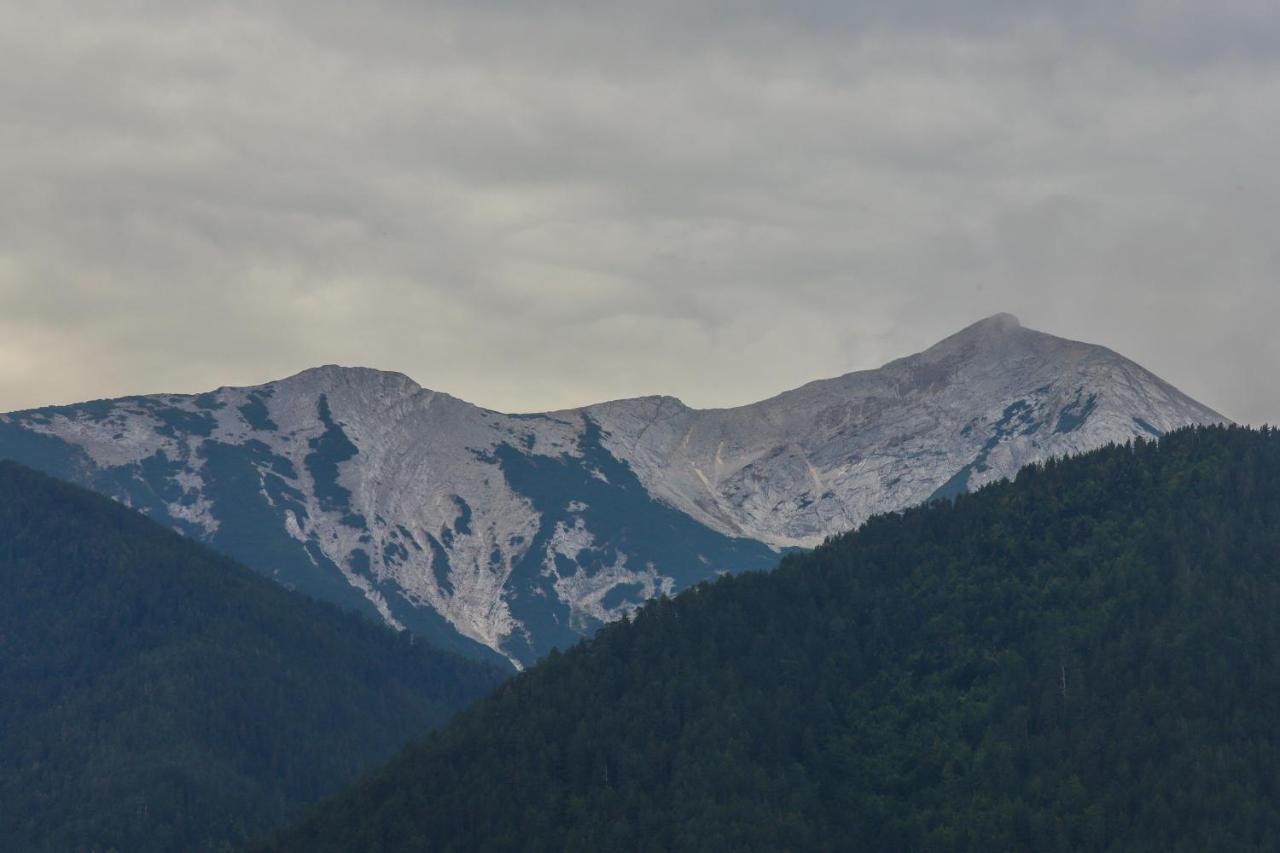 Mountain Hawk Park Vila Bansko Exterior foto
